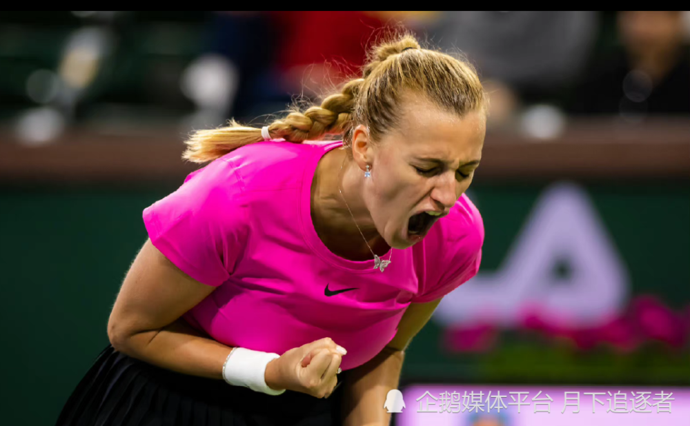 2024法兰克福wtt冠军赛最新消息